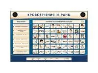 Трехсекционный базовый комплект «Травмы, Кровотечения, Ожоги»