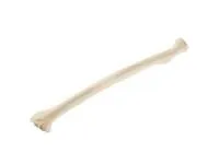 310_1019610 Лучевая кость, стандартная, левая, ORTHOBone 1