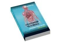 310_Анатомия_человека