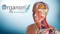 310_Програма_3D_Organon