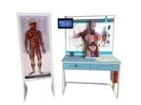 Интерактивный учебный комплекс «Анатомический атлас 3D»