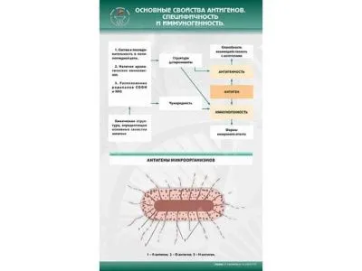 Стенд "Основные свойства антигенов. Специфичность и иммуногенность"