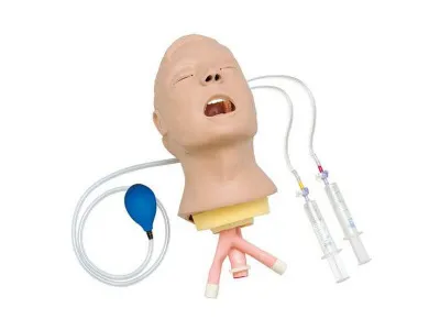 Усовершенствованный тренажер-модель головы «Airway Larry», на стойке