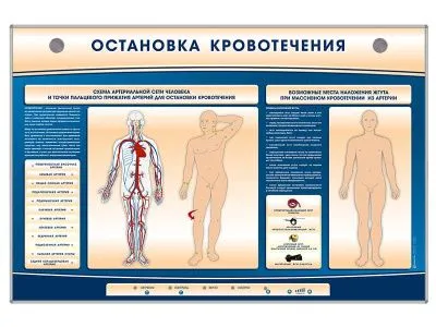 Электрифицированный стенд-тренажер "Остановка кровотечения"