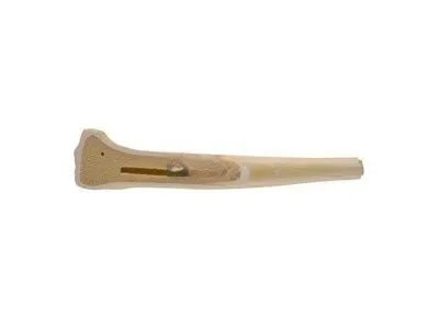 Бедренная кость стандартная, правая, ORTHOBone