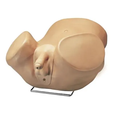 Усовершенствованный тренажер для обследования простаты