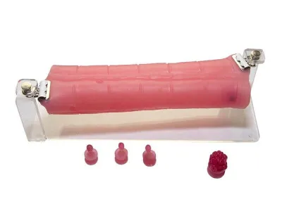 Пособие для отработки навыков лапароскопии «Поперечная ободочная кишка»