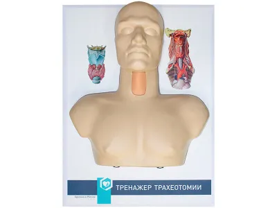 Тренажер трахеотомии
