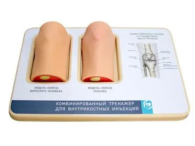 Комбинированный тренажер для внутрикостных инъекций